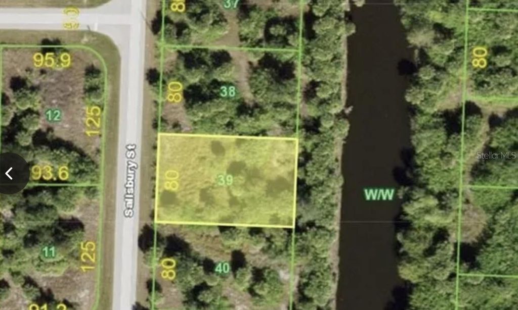 Photo of 318 Salisbury Street, Port Charlotte, FL 33954 (MLS # O6331652)