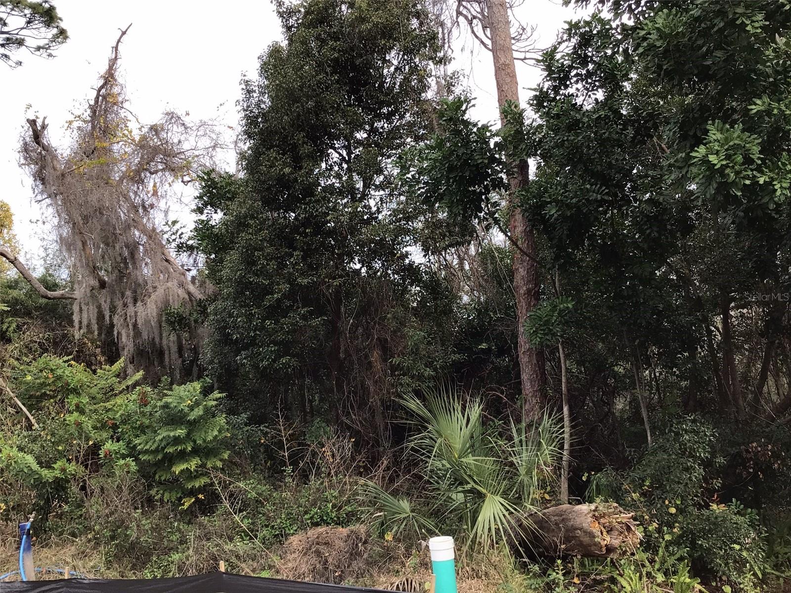 ESTATES AT ENISWOOD - Land