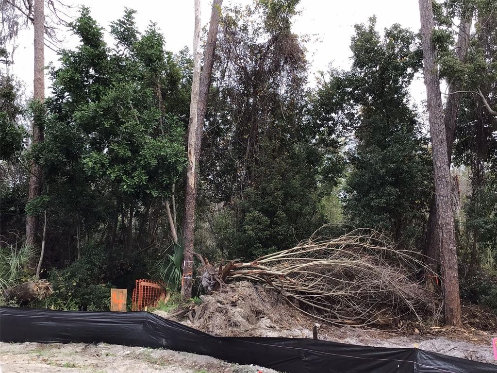 Photo of 1305 Almaria Court, Palm Harbor, FL 34683 (MLS # U8238017)