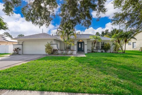 A home in ORLANDO