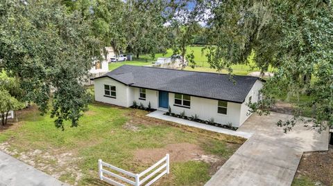 Photo of 3800 Levins Road, Mulberry, FL 33860 (MLS # L4955746)