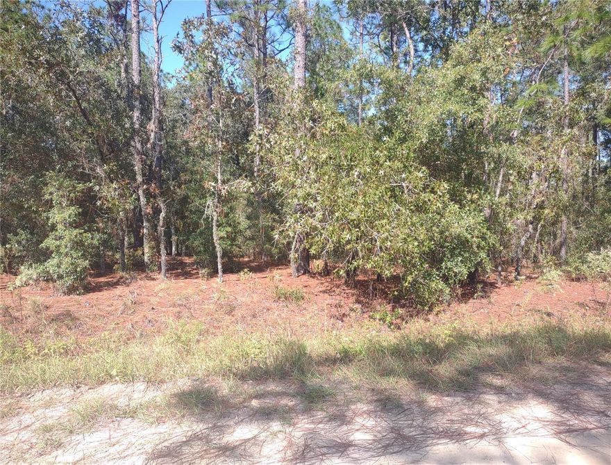 Welcome to rolling hills community, one of the fastest growing community of 1 acre lots. This lot is close to the world equestrian, rainbow springs and Ocala and they are many beautiful horse farm surrounding the area, come take a look at it you fall in love with the area and build your beautiful new dream home