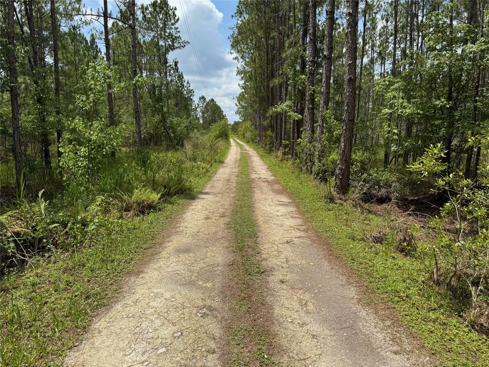 HAVANA ROAD