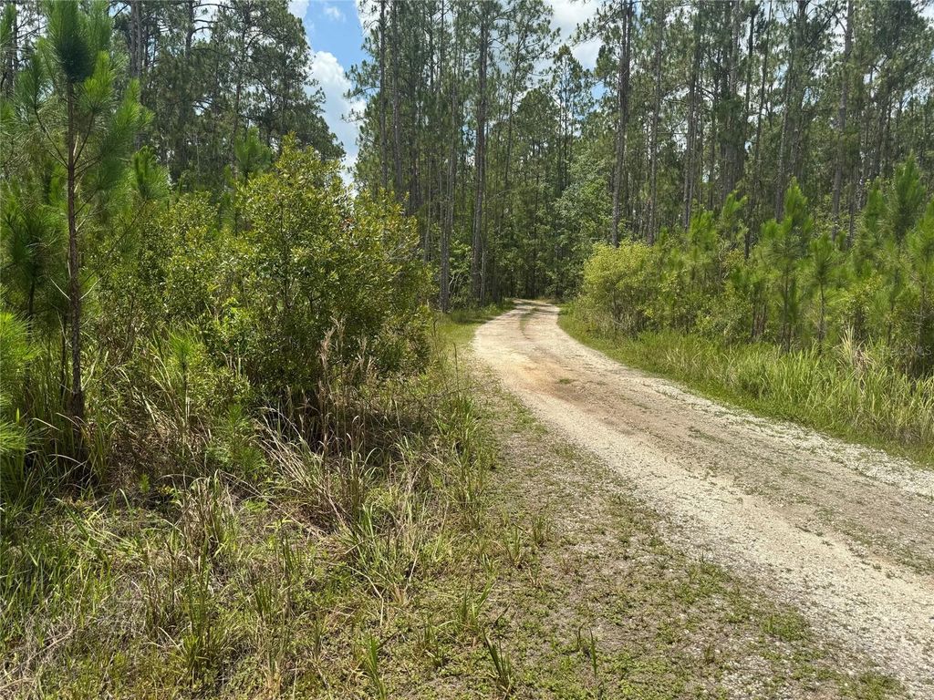 Photo of Havana Road, Clermont, FL 34714 (MLS # O6314610)