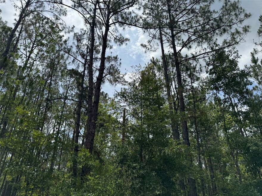 Create your ideal home in this beautiful 5-acre parcel, where you can choose your own builder! Enjoy the serene country atmosphere of a peaceful community, just minutes from shopping, dining, and theme parks. This vacant land offers the perfect canvas for your dream single-family residence, combining tranquility with convenient access to amenities. While you'll need to install a well and septic system, this investment allows for greater independence. Seize this amazing opportunity to build your paradise in a desirable location!