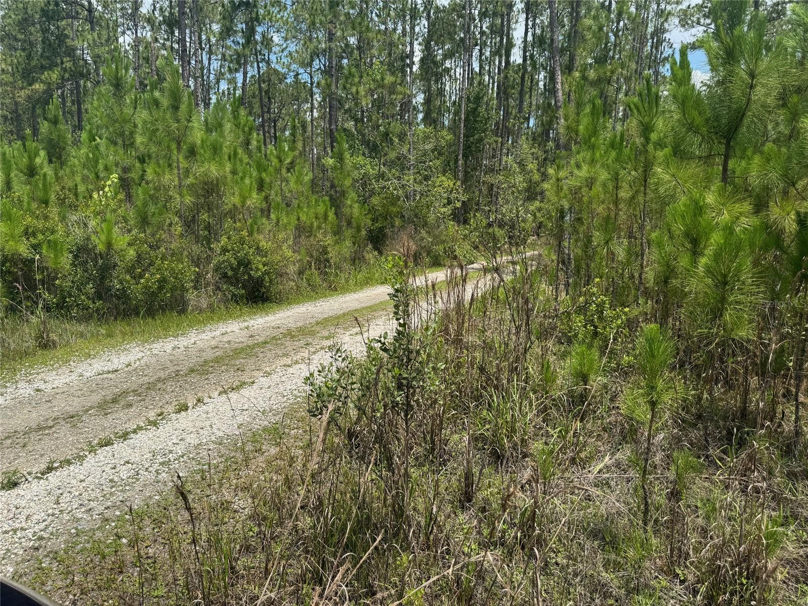 HAVANA ROAD