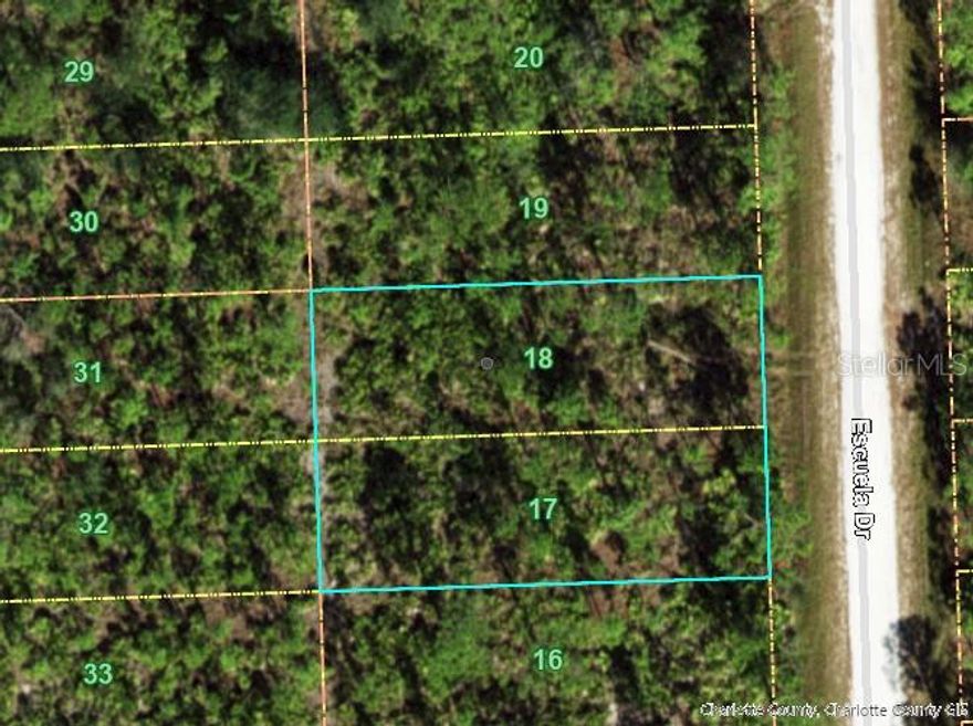 Potentially development area in Punta Gorda. big builders are selling new homes around. Welcome to SW Florida! Residential Building lot in Punta Gorda. Minutes to shopping, restaurants, Bissett Park, and entertainment. Plus, just a short ride to beautiful gulf beaches! Come and build your own slice of Paradise.