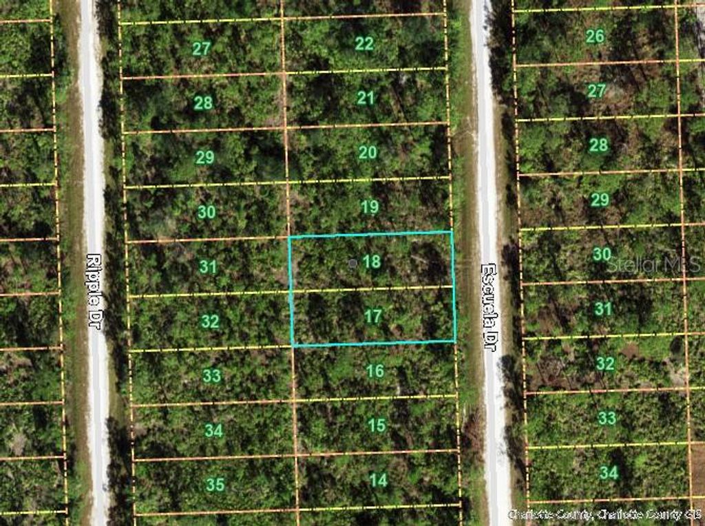 Photo of 12297 Escuela Drive, Punta Gorda, FL 33955 (MLS # C7522767)