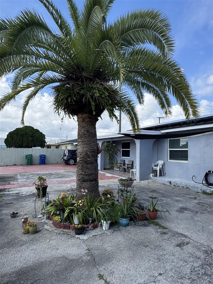 3565 NW 81 TERRACE