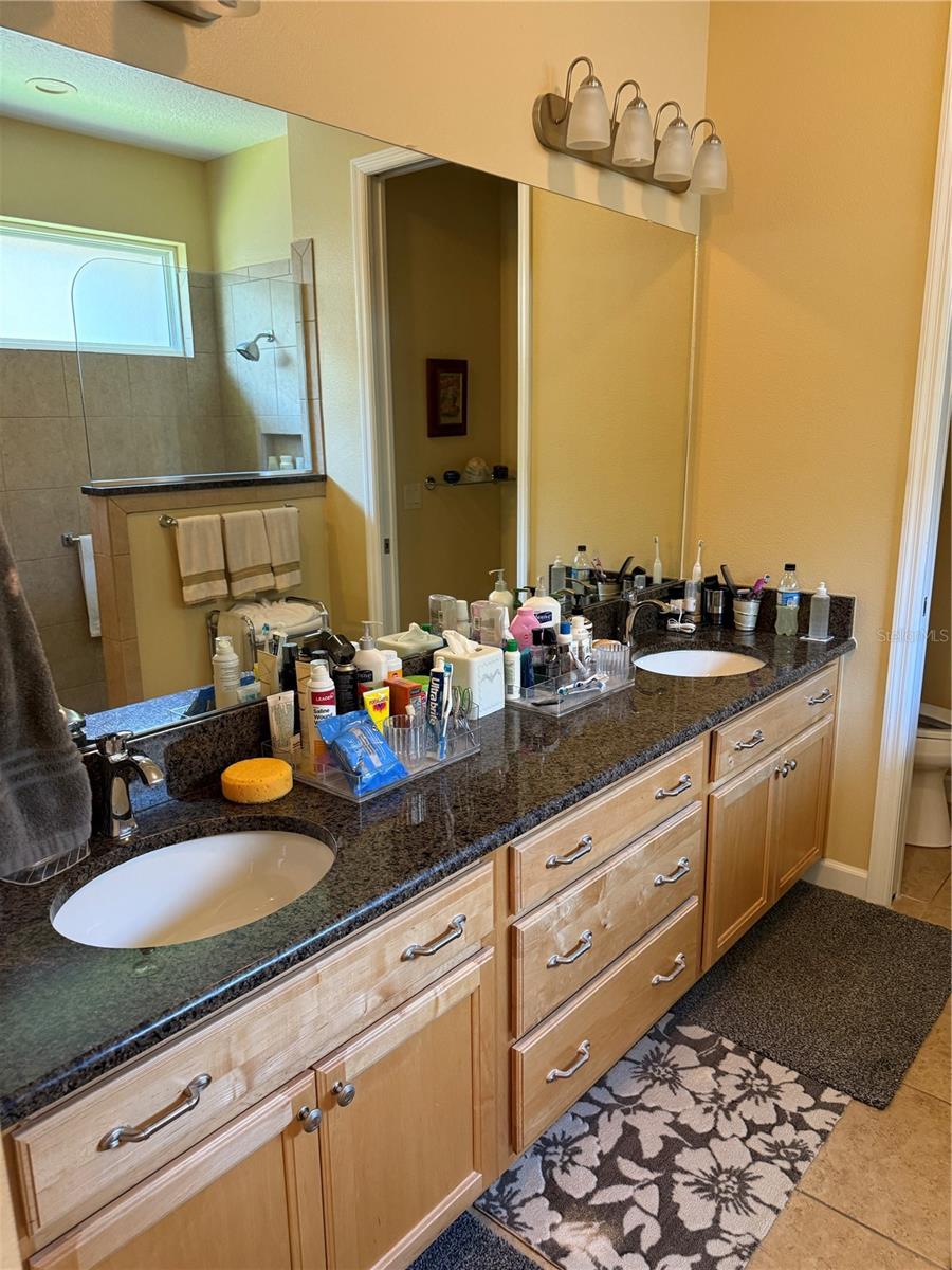 LAKES/MOUNT DORA PH 2 - Residential