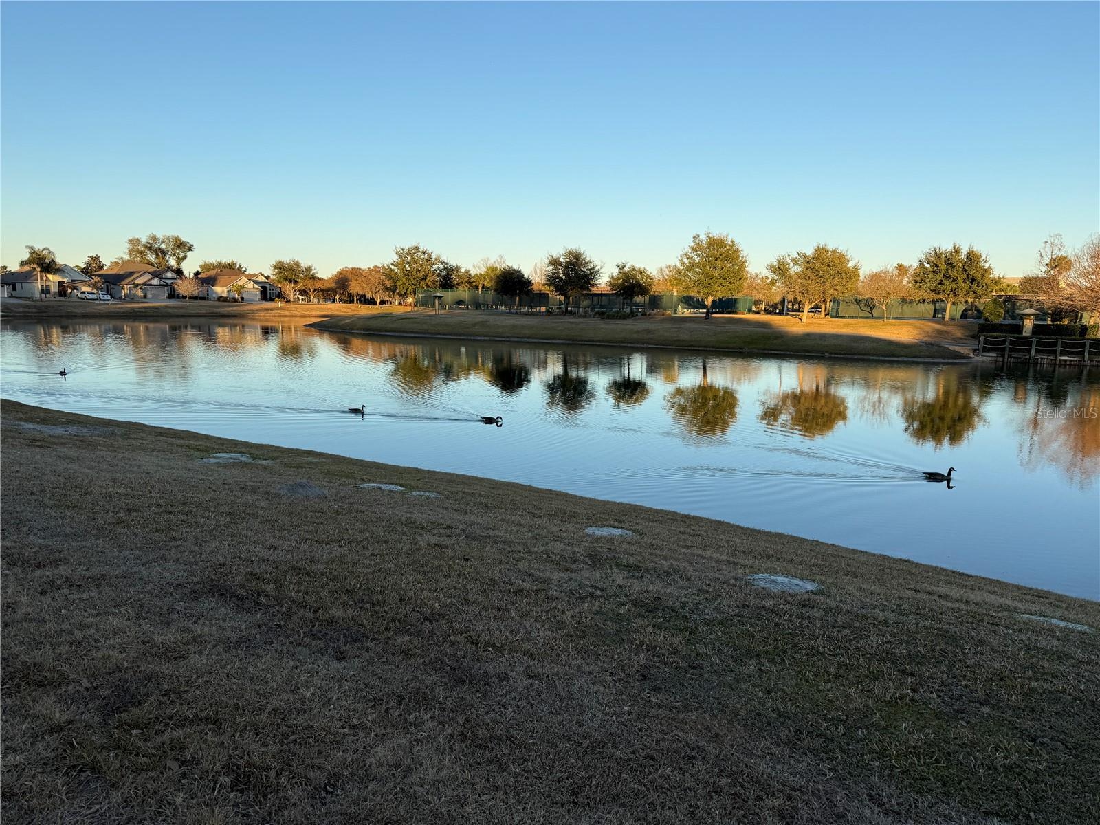 LAKES/MOUNT DORA PH 2 - Residential