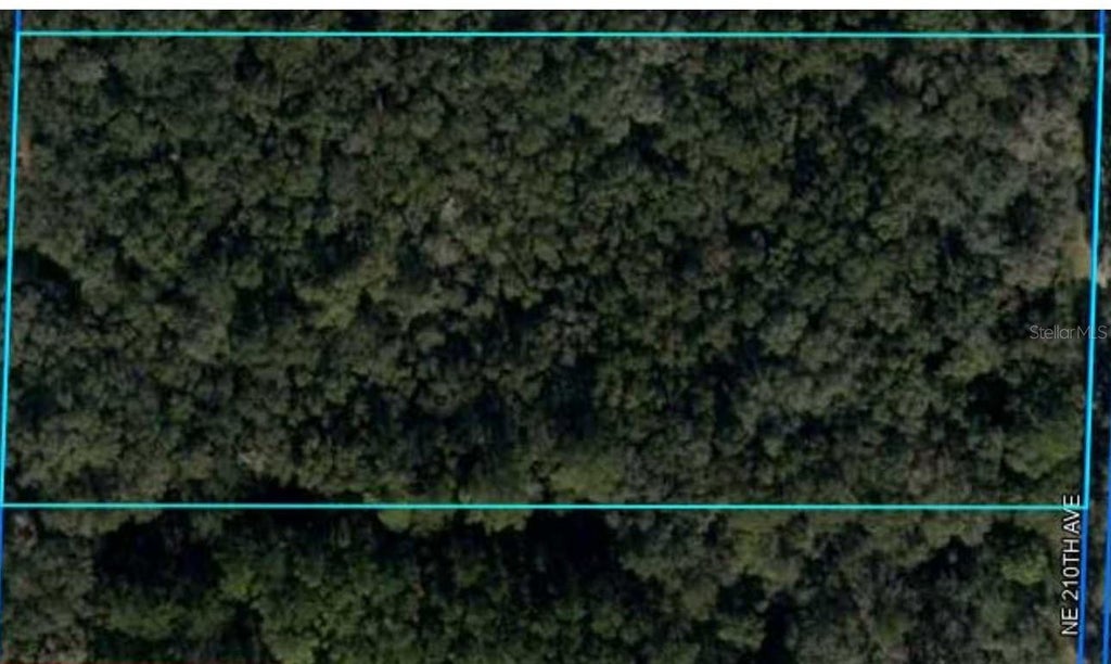 Photo of NE 210th Avenue, Williston, FL 32696 (MLS # O6435904)