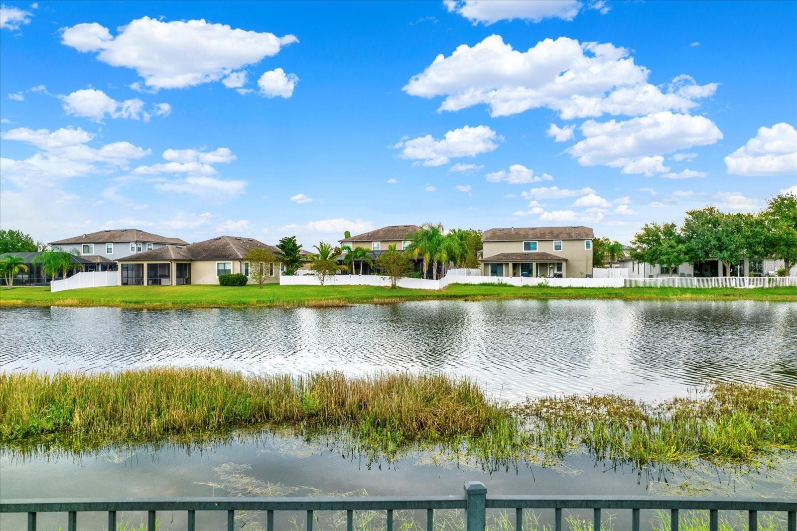 1851 ARBOR KNOLL LOOP