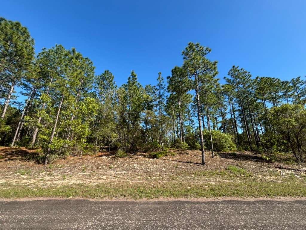 CITRUS SPGS UNIT 06 - Land