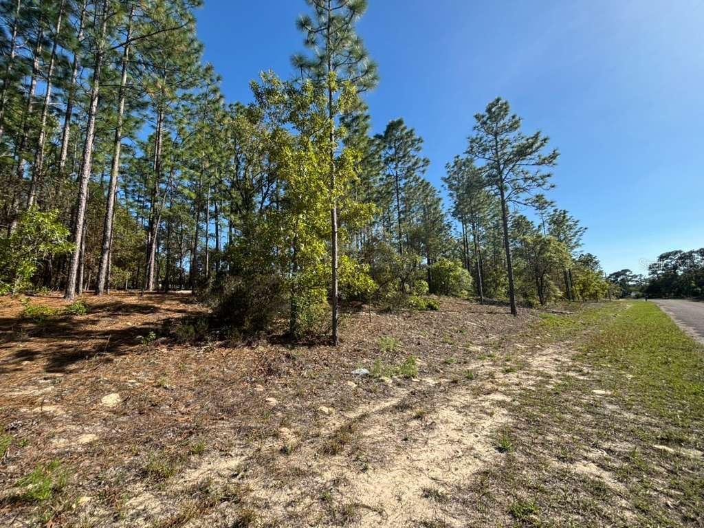 CITRUS SPGS UNIT 06 - Land