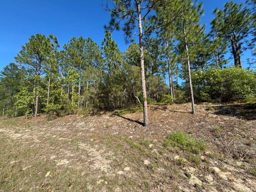 CITRUS SPGS UNIT 06 - Land