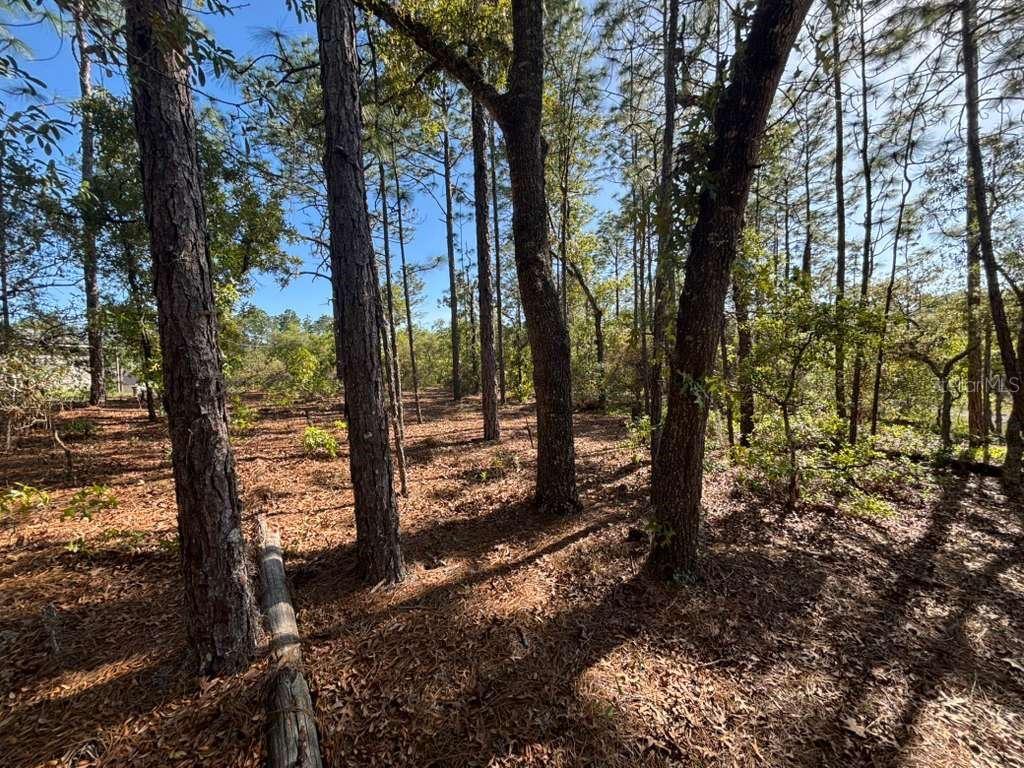 CITRUS SPGS UNIT 06 - Land