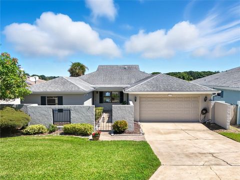 Photo of 1417 Lake Marion Drive, Apopka, FL 32712 (MLS # O6344227)