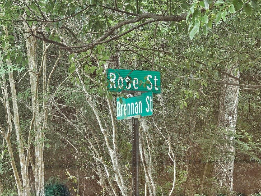 NEW IMPROVED PRICE! Here's your chance to own 4 lots combined into one to equal .65 acres, just outside downtown Brooksville zoned R1B. Property sets off the road to give you that privacy you may be seeking. Partially cleared and the impact fees were already paid on Lot 11, as it once had a structure on it. Seller has a Survey, of all 4 lots combined, which was completed on 10/07/2024. Less than 2 miles to downtown Brooksville, where you can enjoy hometown parades, the Farmer's market, local restaurants, shops, the Library, museums, parks and county offices. Approximately 25 miles to the Weeki Wachee River, Weeki Wachee attraction and parks. Conveniently located within 1 mile of local schools as well. Build your dream home and enjoy Mother Nature in the privacy of a wooded area at the dead end of the street, but have easy access to downtown Brooksville, Tampa, Inverness, Homosassa, Crystal River and more, via US 41, Cortez Blvd./SR 50 and US 98. Come enjoy the scenic beauty of Brooksville and Hernando County, go Kayaking, Fishing or walks in the parks. NO seller financing, NO sight unseen offers. Bring all offers.