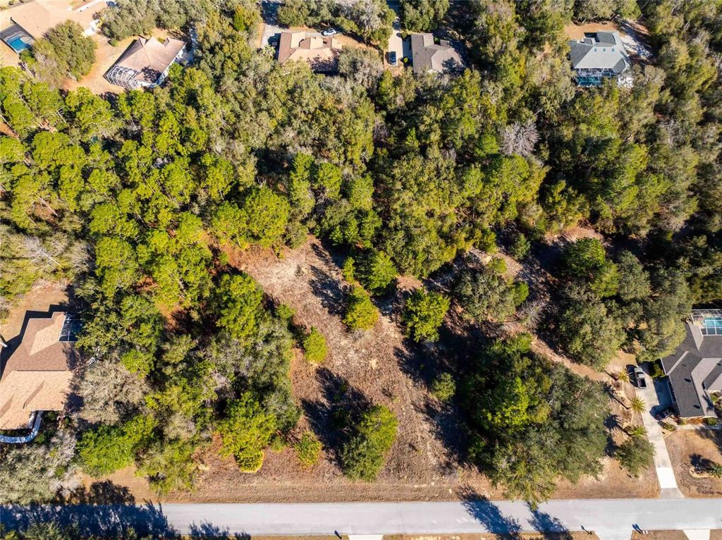 Photo of 1737 E Westgate Lane, Hernando, FL 34442 (MLS # TB8474513)