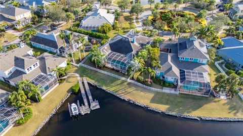 A home in APOLLO BEACH