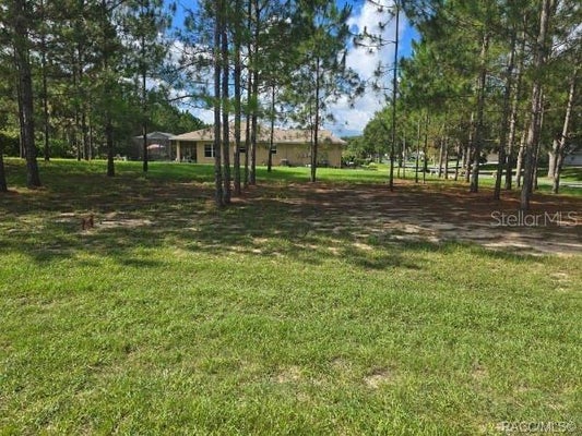 2590 N BRENTWOOD CIR, LECANTO, FL 34461 - Image dbeea1435d30806e5c201fe3fbd4f8c4/2692275967