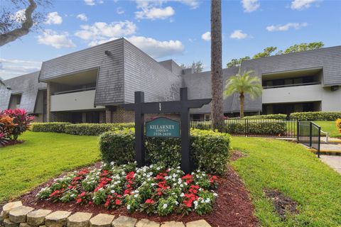 A home in PALM HARBOR