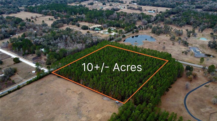Located in the beautiful Long Pond Plantation subdivision in the heart of Marion County's horse country, these 10 acres are the ideal location to build a quiet equestrian farm or country home surrounded by mature slash pines, sabal and cabbage palms. The property is high and dry with no wetlands or FEMA floodplain. This is the first time the property has been available for sale in 22 years.  Just a 28-minute drive (19.2 Miles) to the WEC, 18-minute drive (14.6 Miles) to HITS, and 13 minute drive to Winn Dixie (Williston).
