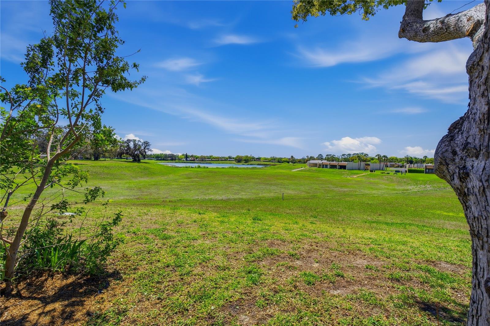 DOLLAR LAKE VILLAGE CONDO 01 - Residential