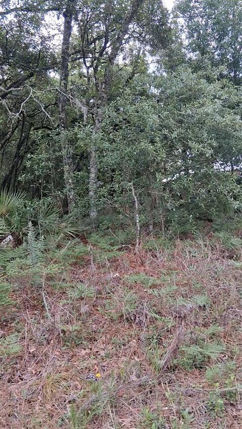 5887 / 5899 N BEDSTROW BOULEVARD DUNNELLON FL 34434