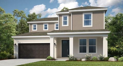 33306 CASTAWAY LOOP WESLEY CHAPEL FL 33543