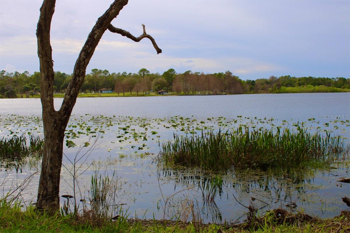 HAMPTONS/METROWEST - Residential