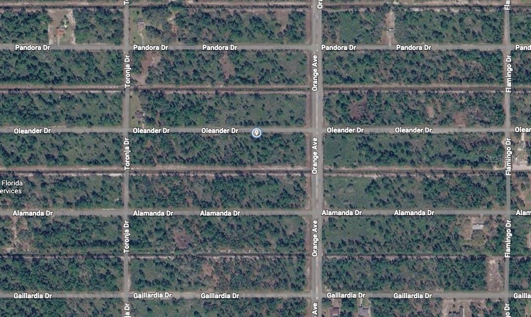 INDIAN LAKE ESTATES - Land