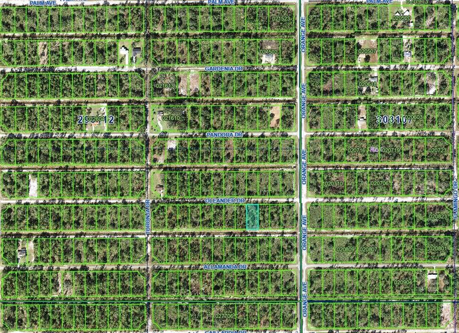 INDIAN LAKE ESTATES - Land