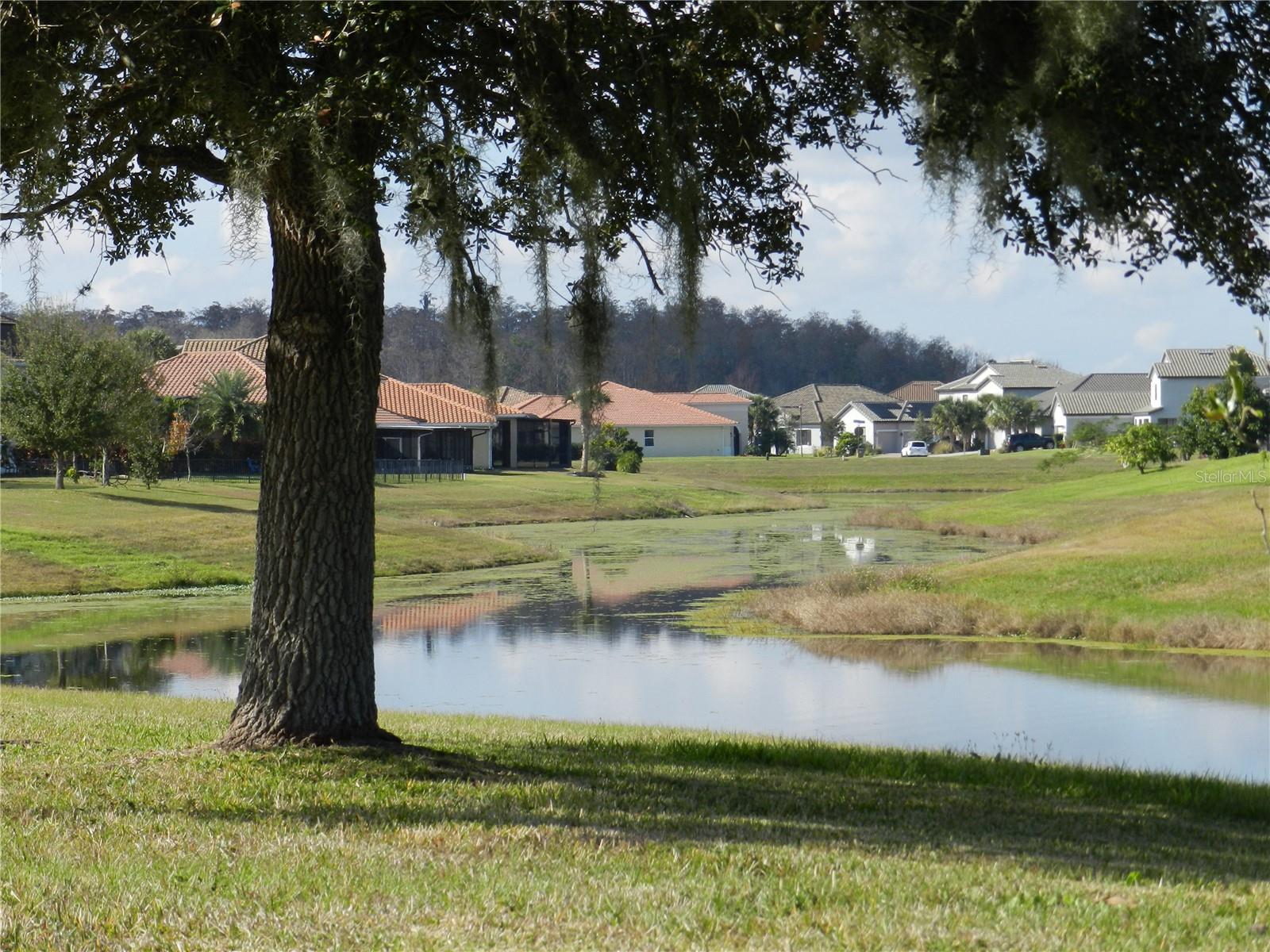 BELLALAGO - Residential