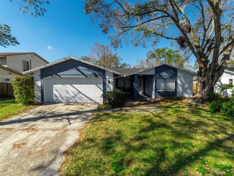 A home in TAMPA