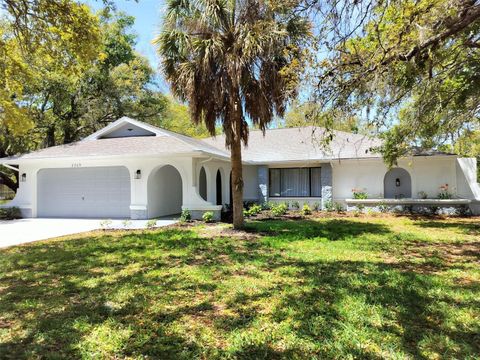 A home in SPRING HILL