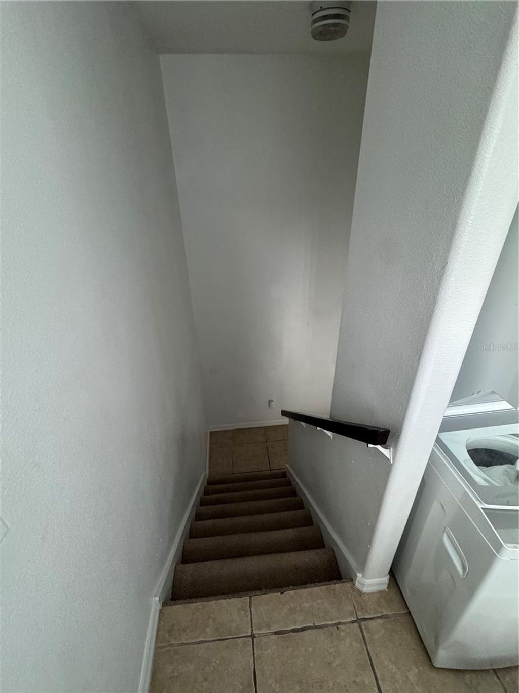 Photo of 3063 St Clair Avenue, Oldsmar, FL 34677 (MLS # TB8491085)