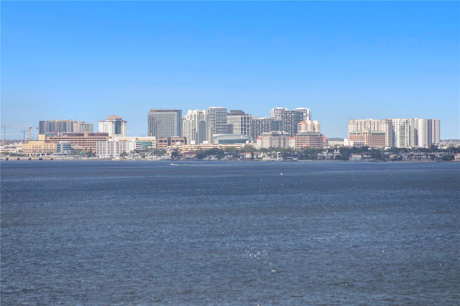 THE BELLAMY ON THE BAYSHORE A - Residential