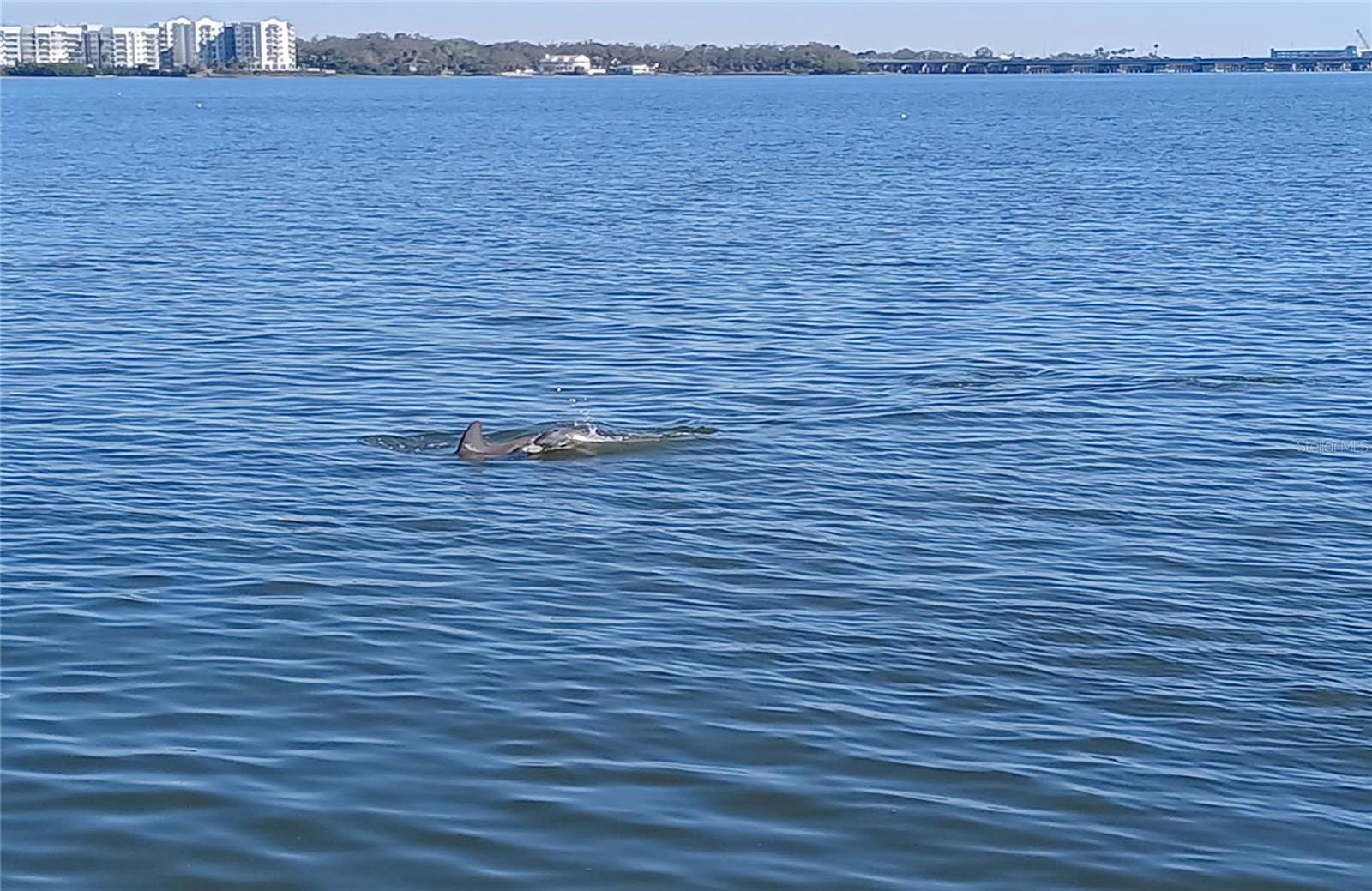 IMPERIAL COVE 13 - Residential