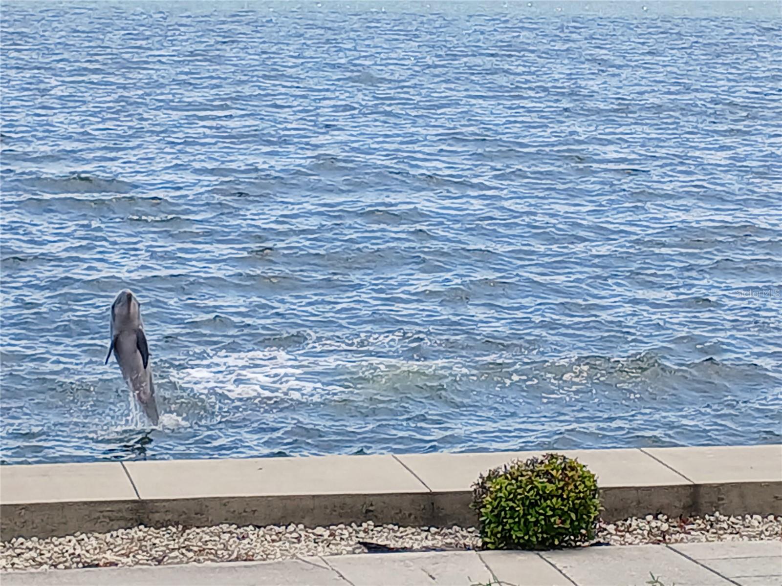 IMPERIAL COVE 13 - Residential