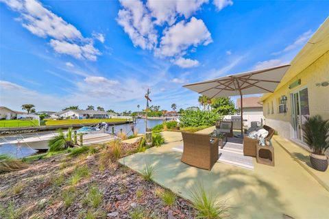 A home in APOLLO BEACH