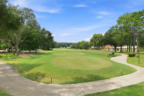 Tiny photo for 1783 N Musial Point, Hernando, FL 34442 (MLS # OM732879)