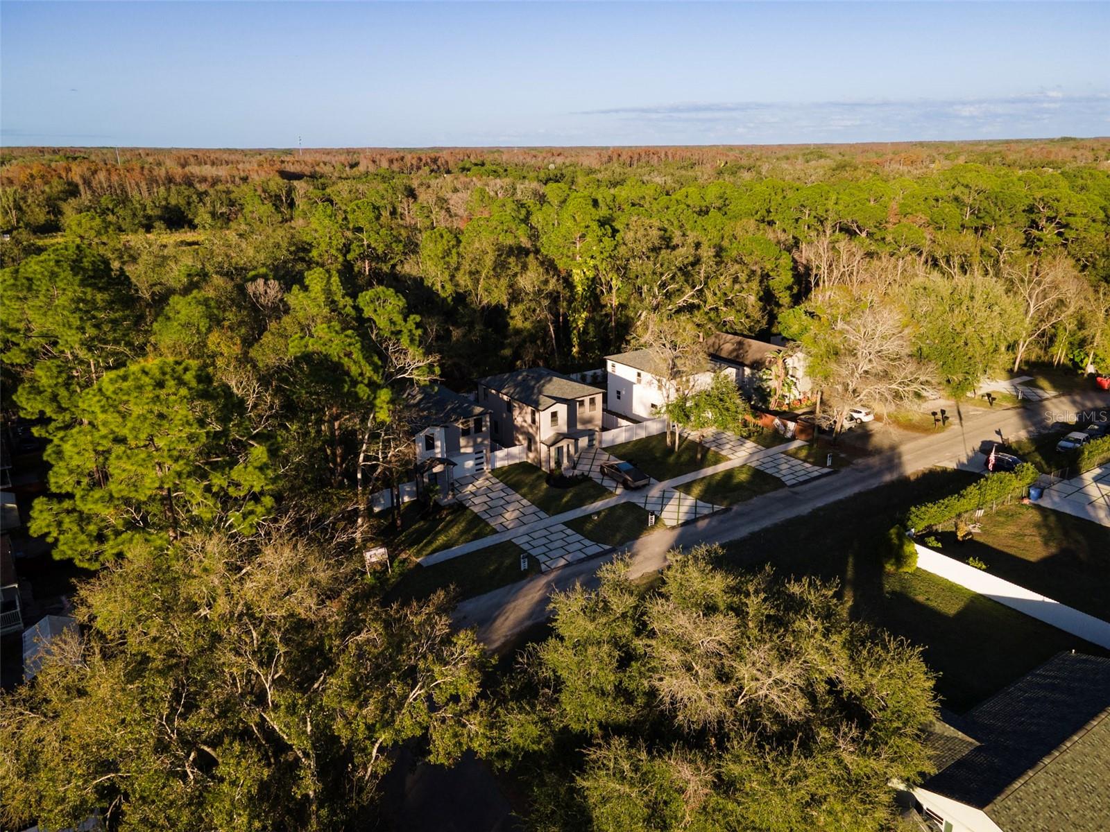 TOWN OF CITRUS PARK - Residential