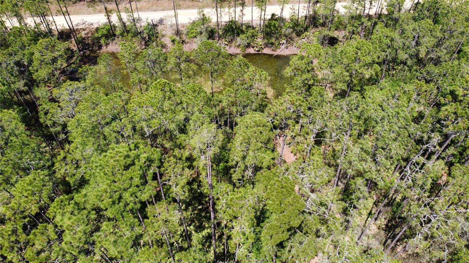 INTERLACHEN LAKES ESTATES - Land