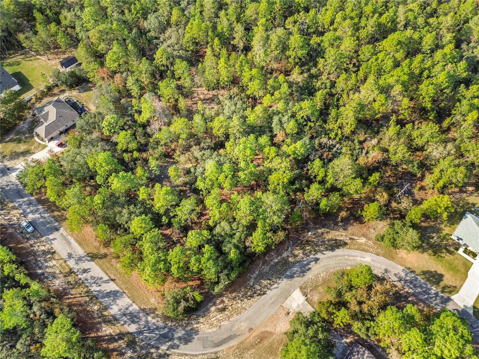 CITRUS SPGS UNIT 10 - Land