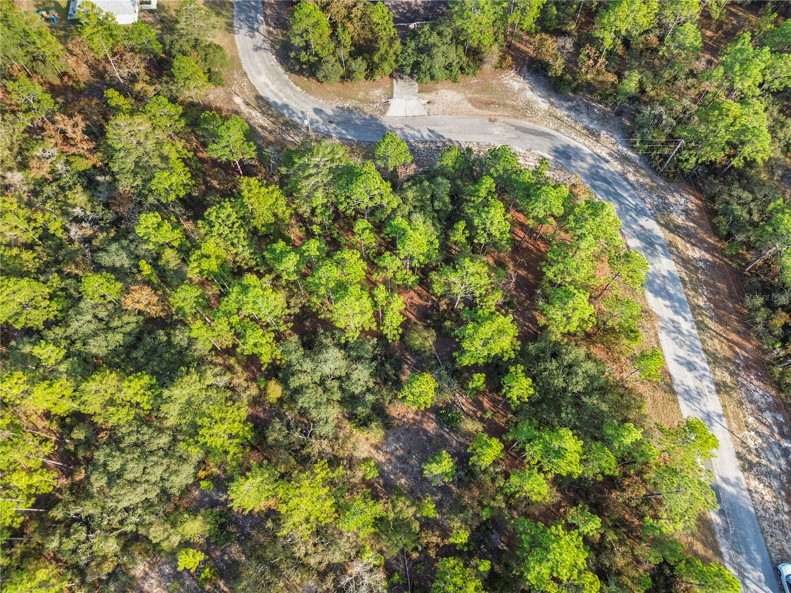 CITRUS SPGS UNIT 10 - Land