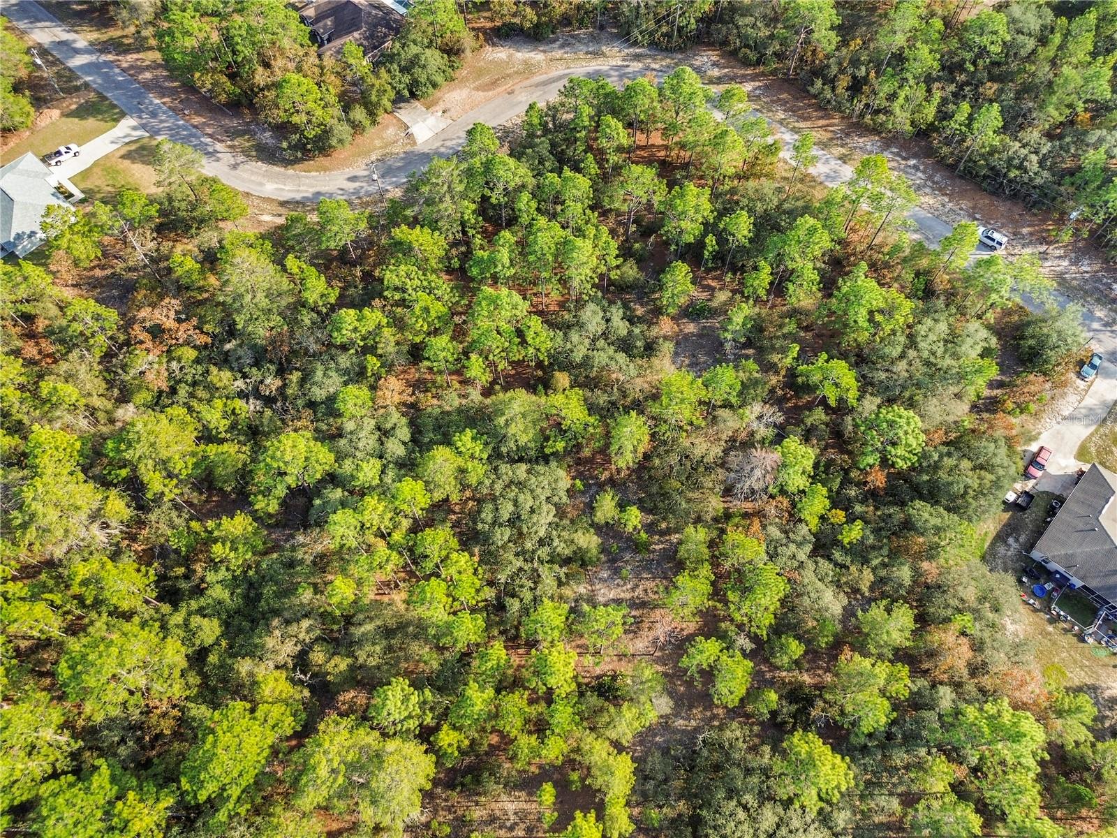 CITRUS SPGS UNIT 10 - Land