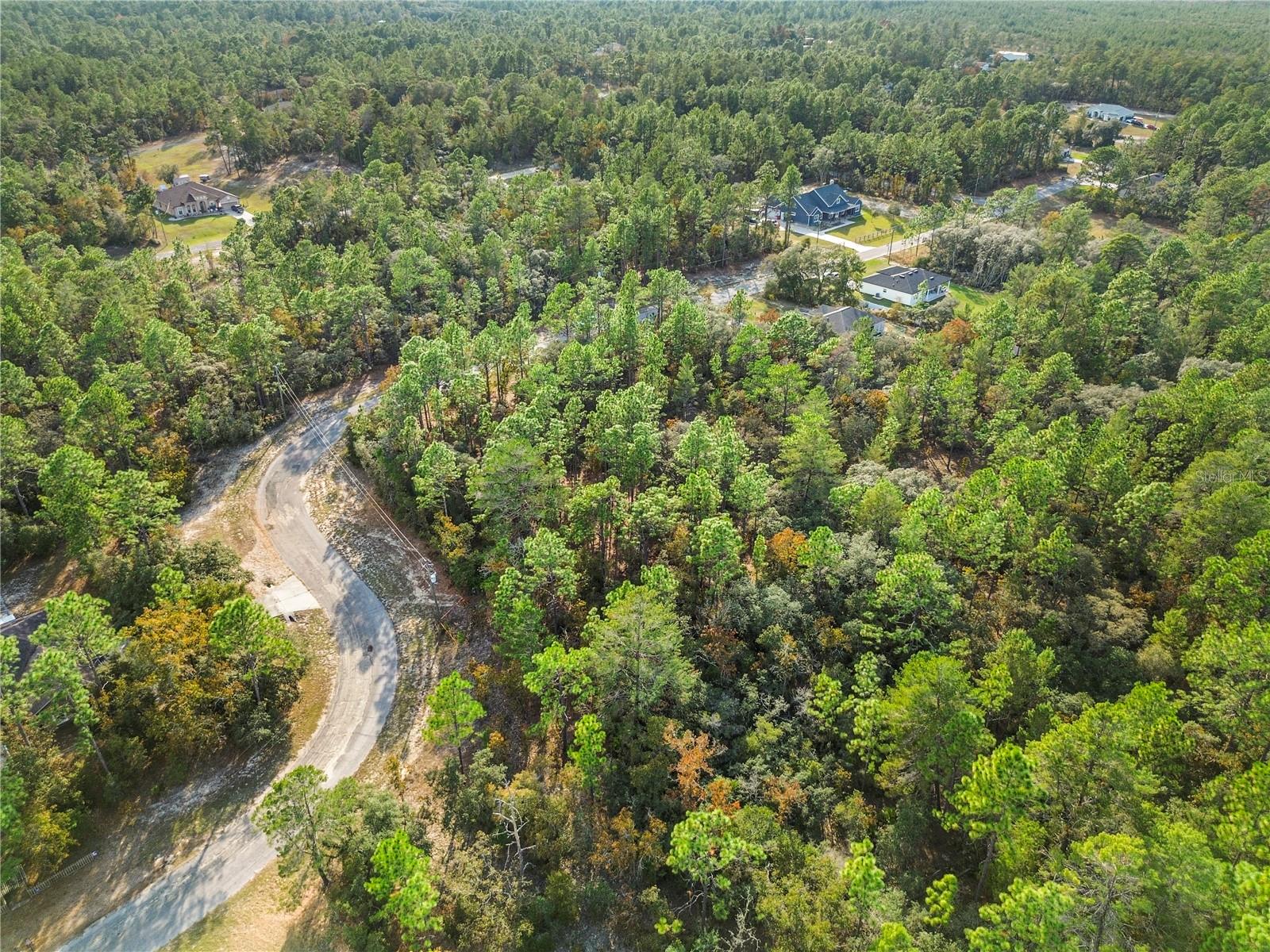 CITRUS SPGS UNIT 10 - Land