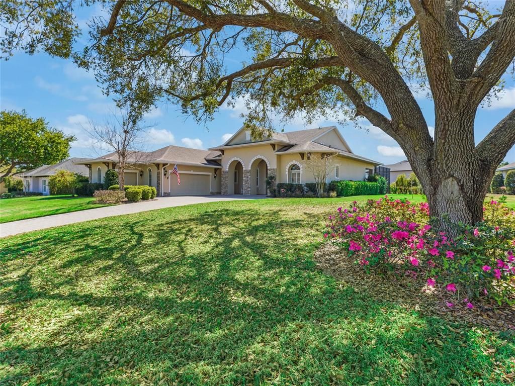 listing image 54